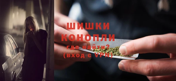 круглые Осинники