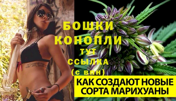 гашик Коряжма