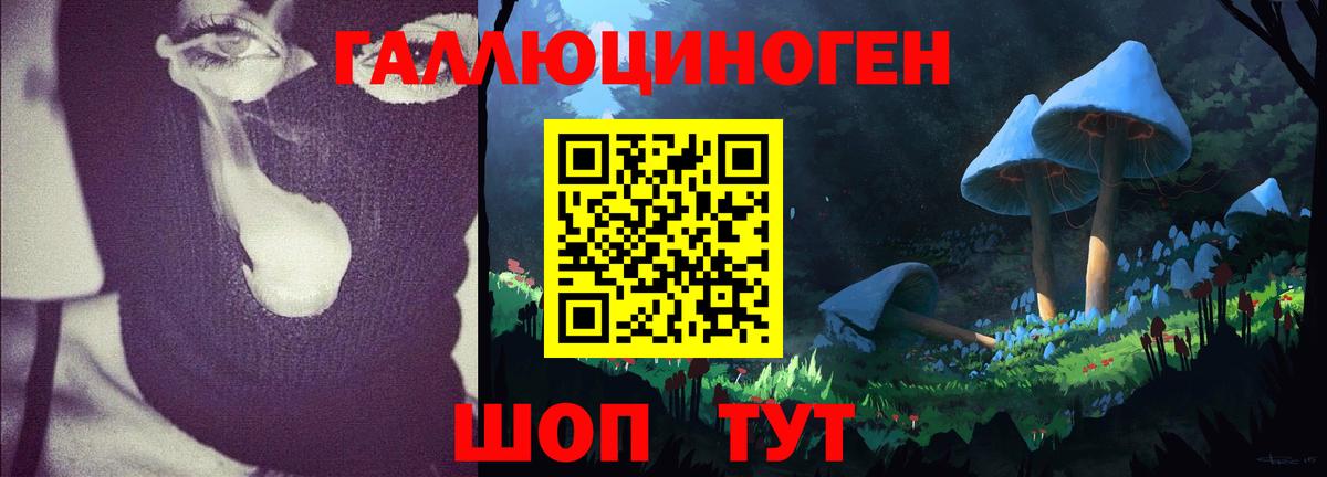 Коркино  Галлюциногенные грибы Psilocybe  Вход с VPN  Псилоцибиновые грибы Psilocybine cubensis 